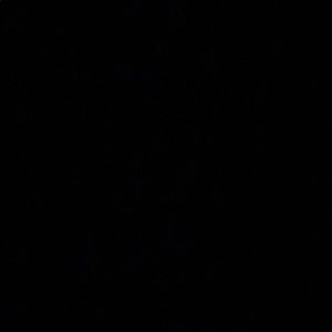 Meet your Posher, Kimia